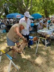 2022 07 03 ARLES  UNE JOURNEE AVEC L'ARAPA (20)